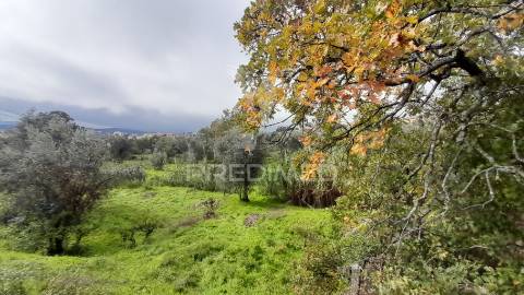 Terreno urbano em tortosendo