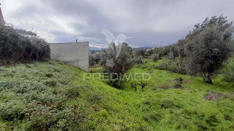 Terreno urbano em tortosendo