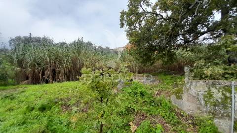 Terreno urbano em tortosendo