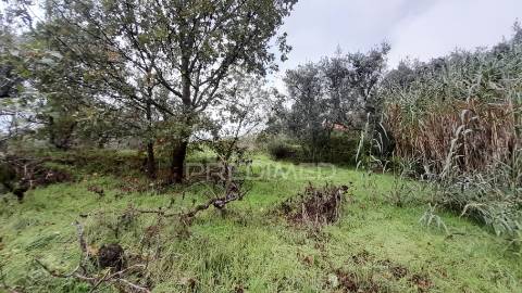 Terreno urbano em tortosendo