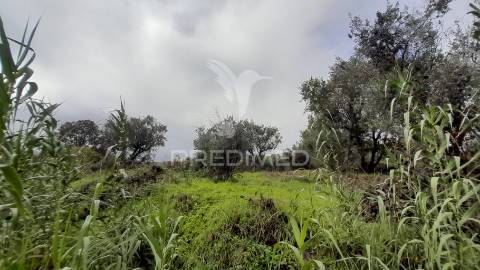 Terreno urbano em tortosendo