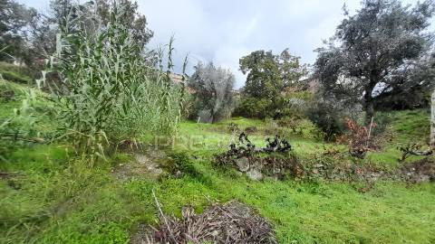 Terreno urbano em tortosendo