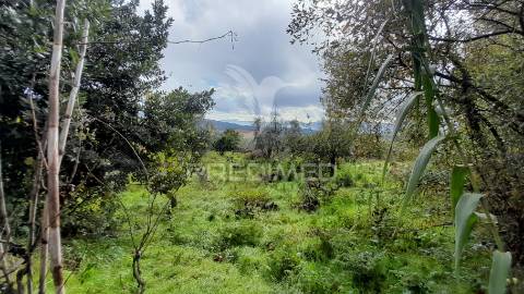 Terreno urbano em tortosendo
