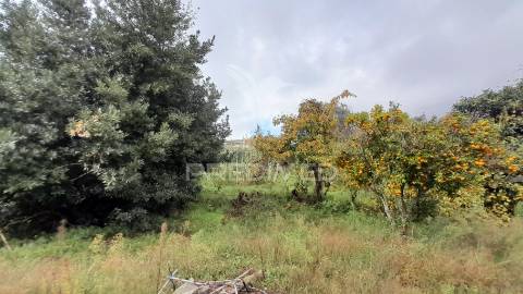 Terreno urbano em tortosendo