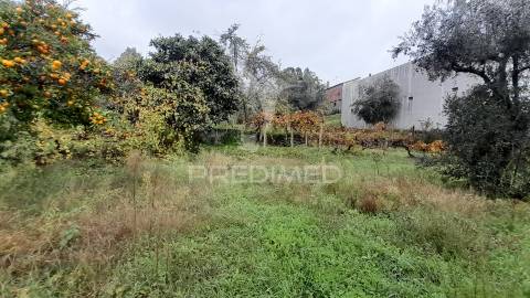 Terreno urbano em tortosendo