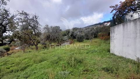 Terreno urbano em tortosendo