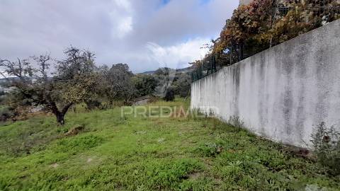 Terreno urbano em tortosendo