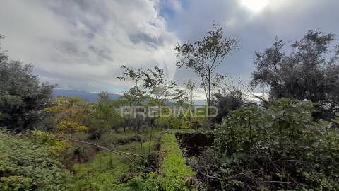 Terreno urbano em tortosendo