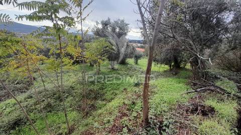 Terreno urbano em tortosendo