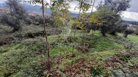 Terreno urbano em tortosendo