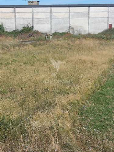 Terreno rústico - gouxaria, alcanena