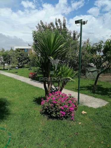 Moradia t5, com 3 pisos, terreno e anexos