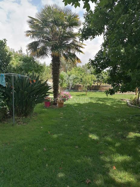 Moradia t5, com 3 pisos, terreno e anexos