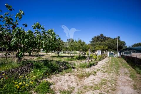 Quinta em fernão ferro