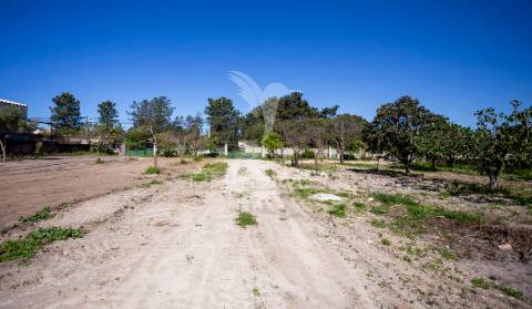 Quinta em fernão ferro