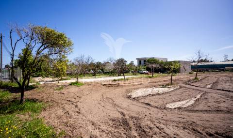 Quinta em fernão ferro