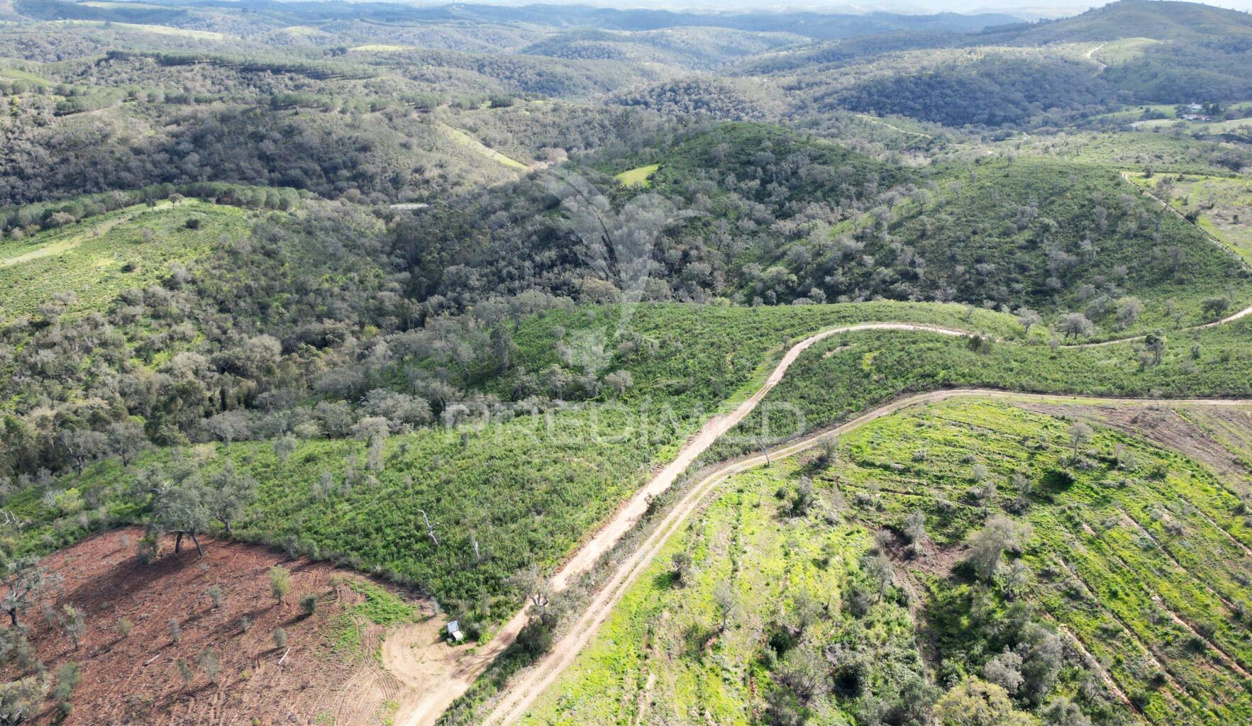 Herdade com 26 ha em taliscas odemira