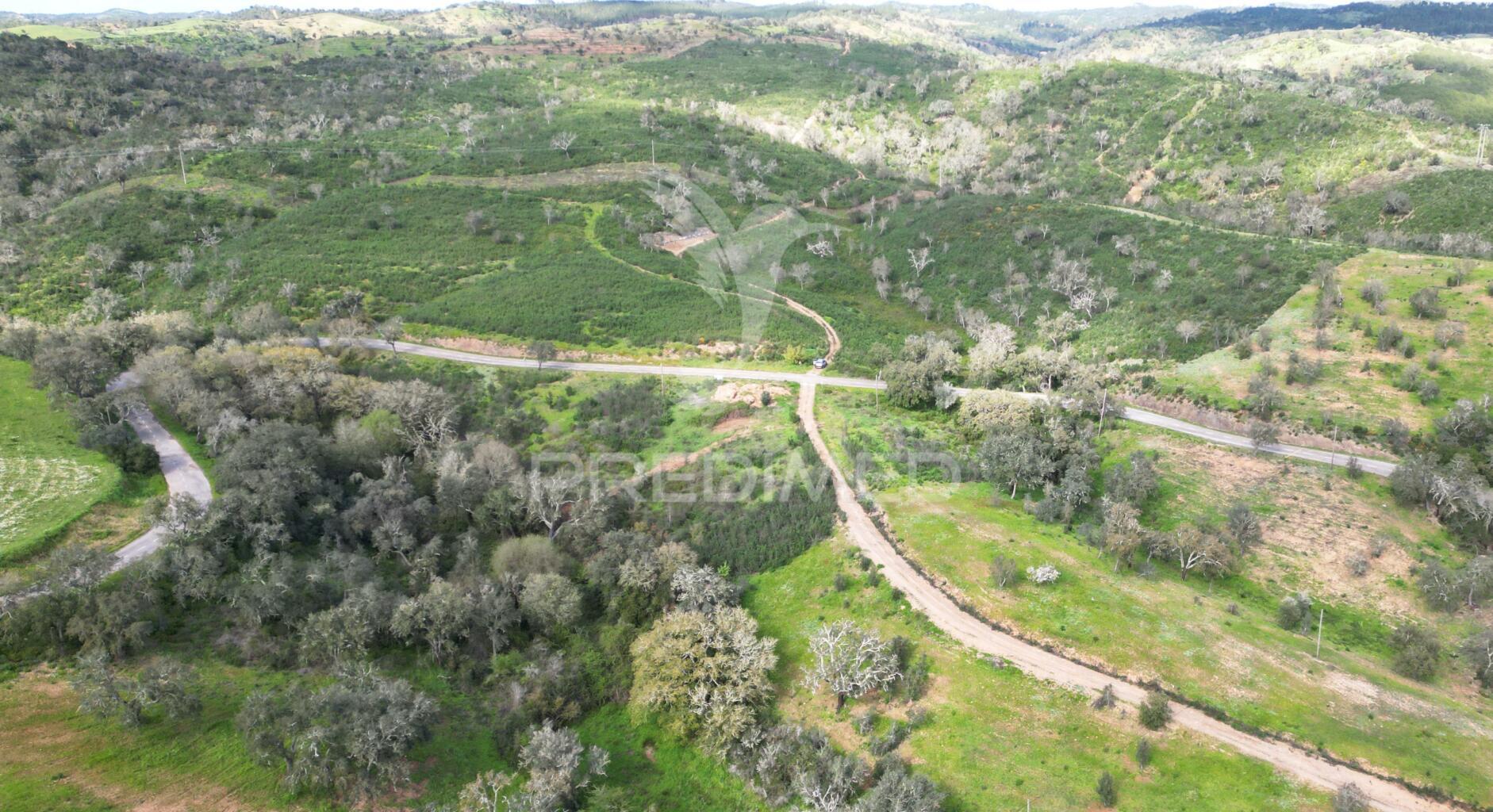 Herdade com 26 ha em taliscas odemira
