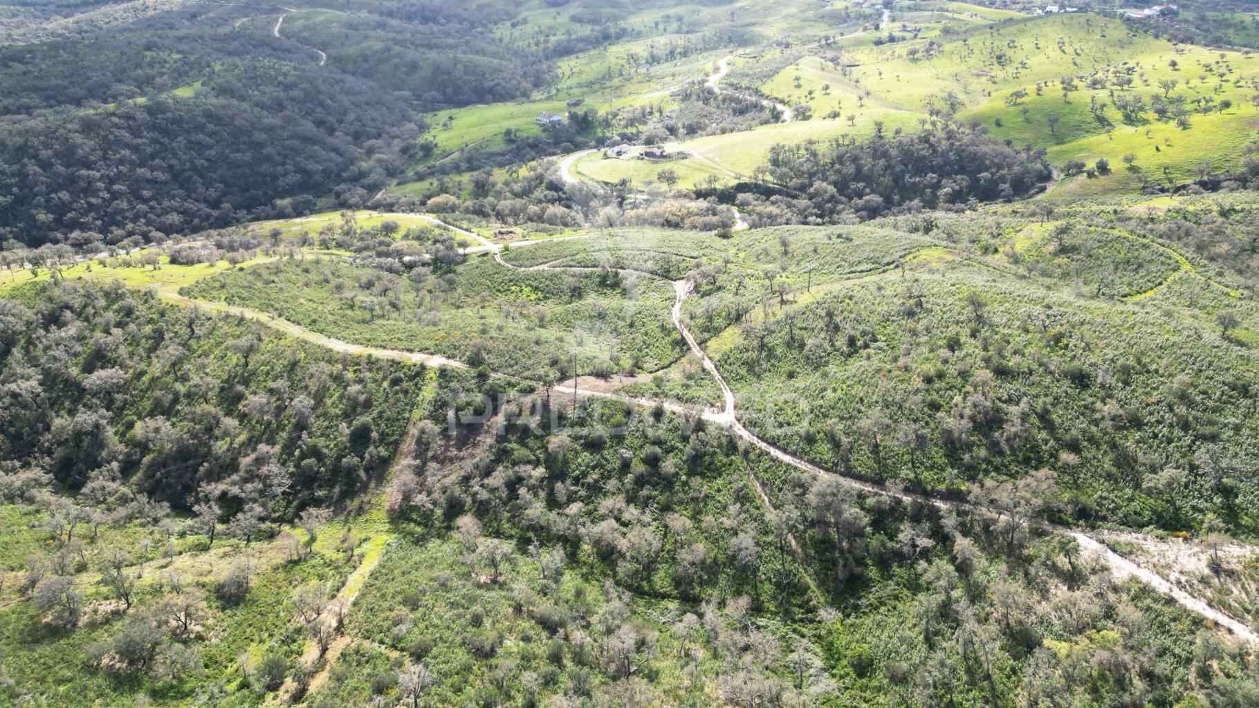 Herdade com 26 ha em taliscas odemira