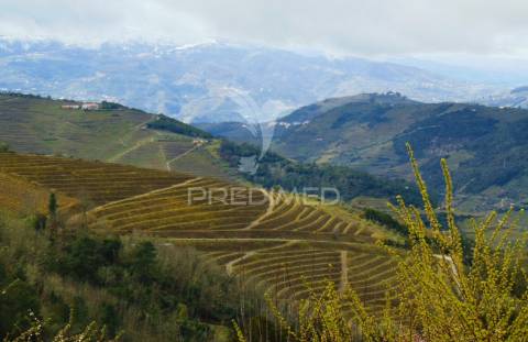 Moradia usada para recuperar em abaças