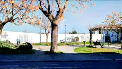 Oportunidade de investimento, loteamento habitacional torres novas