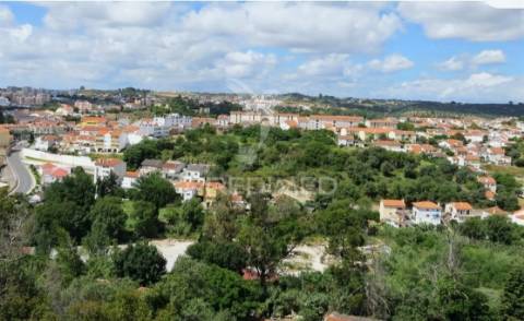 Oportunidade de investimento, loteamento habitacional torres novas