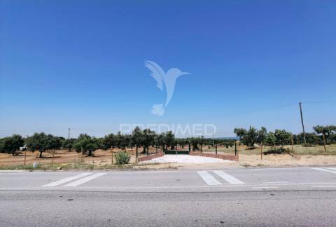 Quinta rural com olival, com uma área de 42,480m2 vaqueiros, santarém