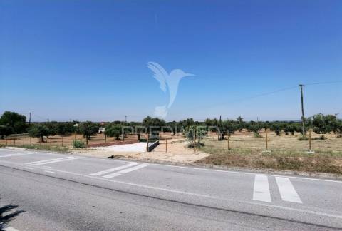 Quinta rural com olival, com uma área de 42,480m2 vaqueiros, santarém