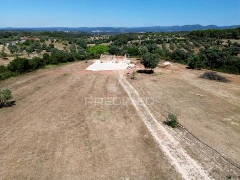 Quinta rural com olival, com uma área de 42,480m2 vaqueiros, santarém
