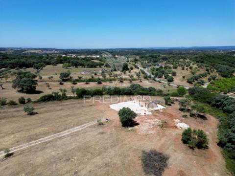 Quinta rural com olival, com uma área de 42,480m2 vaqueiros, santarém