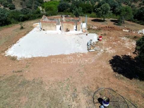 Quinta rural com olival, com uma área de 42,480m2 vaqueiros, santarém