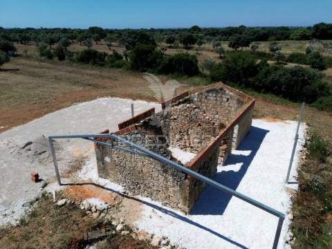 Quinta rural com olival, com uma área de 42,480m2 vaqueiros, santarém