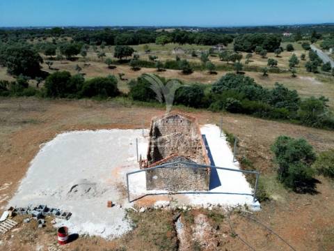 Quinta rural com olival, com uma área de 42,480m2 vaqueiros, santarém