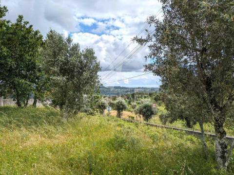 Terreno para construção próximo de viseu