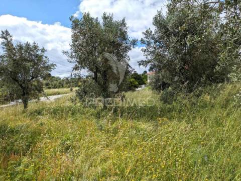 Terreno para construção próximo de viseu