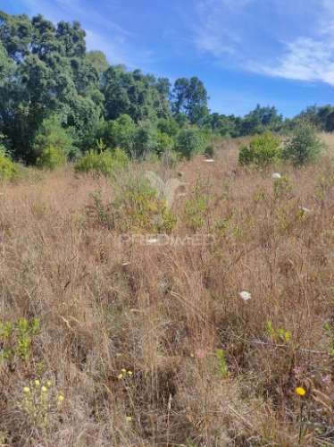 Terreno rústico - pai de aviz, tomar