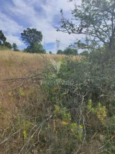 Terreno rústico - pai de aviz, tomar