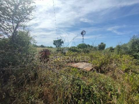 Terreno rústico - pai de aviz, tomar