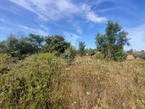 Terreno rústico - pai de aviz, tomar