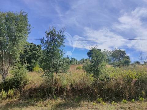 Terreno rústico - pai de aviz, tomar