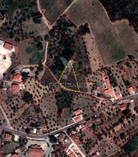 Terreno rústico - pai de aviz, tomar