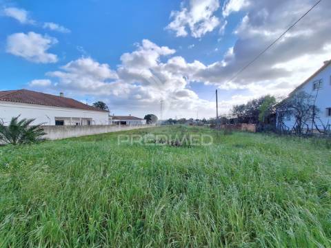 Terreno, nossa senhora de fátima, entroncamento