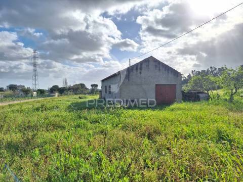 Terreno, nossa senhora de fátima, entroncamento