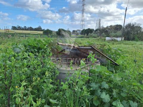 Terreno, nossa senhora de fátima, entroncamento