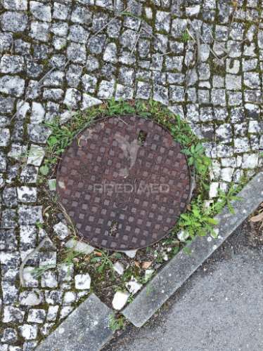 Terreno, nossa senhora de fátima, entroncamento