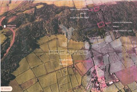 Terreno rustico - mata/ arvoredo nas fontinhas
