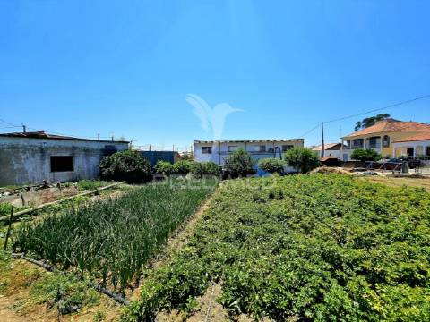 Moradia t4 com armazém e terreno