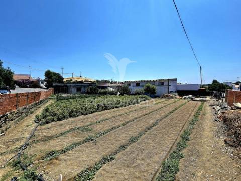 Moradia t4 com armazém e terreno