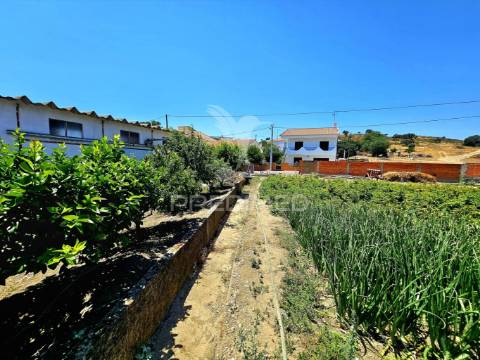 Moradia t4 com armazém e terreno