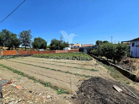 Moradia t4 com armazém e terreno